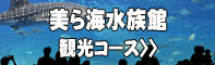 沖縄観光ジャンボタクシー　美ら海水族館観光コース