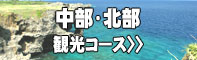 沖縄観光ジャンボタクシー　中部・北部観光コース